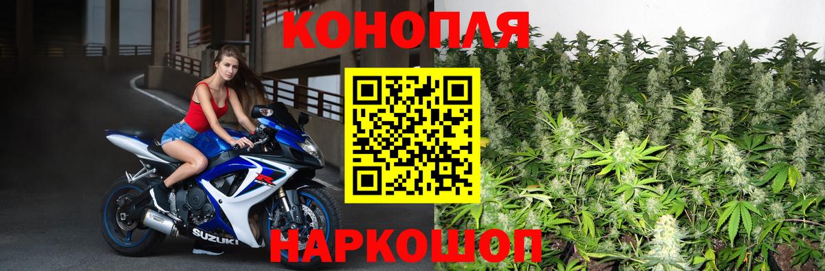 Шишки марихуана ГИДРОПОН  МАРИХУАНА ГИДРОПОН  Бошки марихуана SATIVA & INDICA  Вход с VPN  Карачаевск 